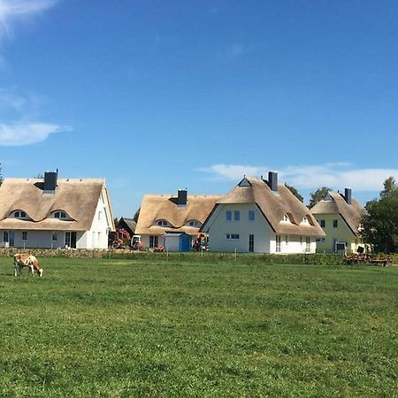 Reetdachhaeuser Boergerende Zewnętrze zdjęcie