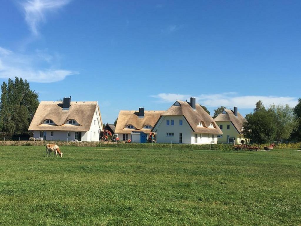 Reetdachhaeuser Boergerende Zewnętrze zdjęcie